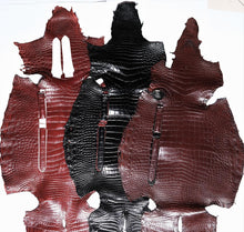 Load image into Gallery viewer, Alligator Compatible Watch 15mm-23mm from small to large - HU Watch strap